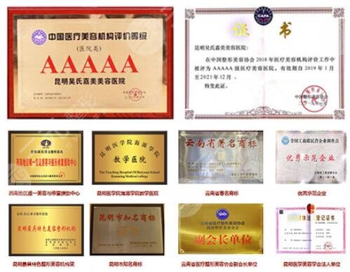 云南吴氏嘉美