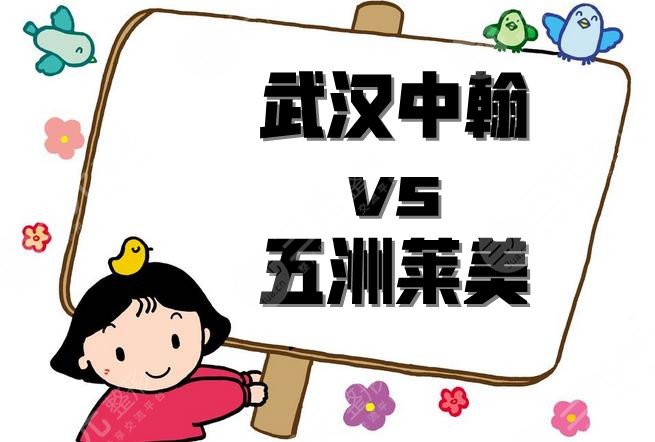 武汉中翰和五洲莱美哪家正规？
