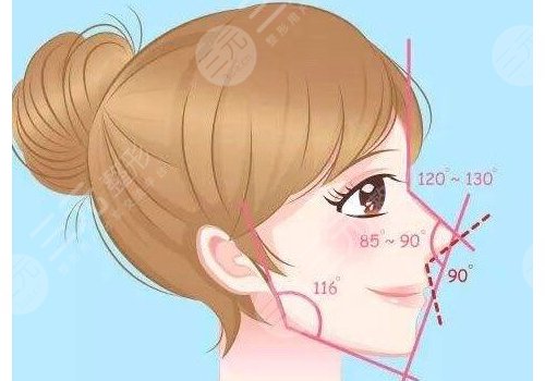 区别|水滴鼻和小翘鼻哪个好看?看脸型选鼻型~
