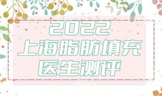 2024上海脂肪填充医生测评