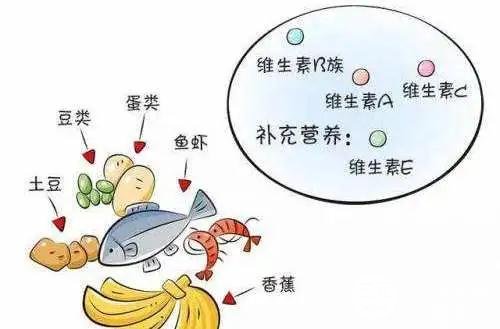 饮食调理治疗脱发