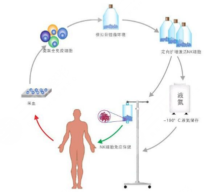 免疫系统损坏的人