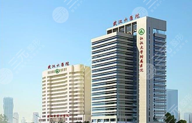 武汉市第六医院