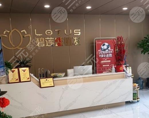 沈阳碧莲盛和雍禾哪个好