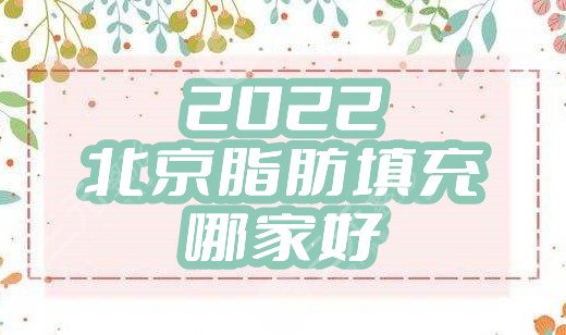 2024北京脂肪填充哪家好