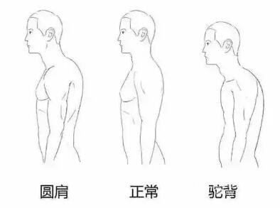 如何让自己看起来更娇小--肩背线条
