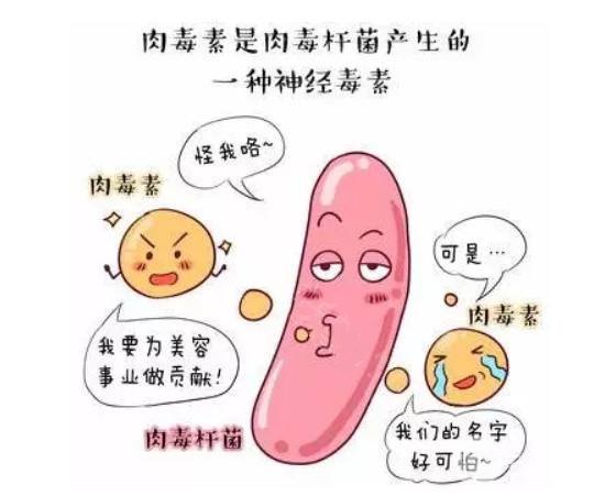 rd素