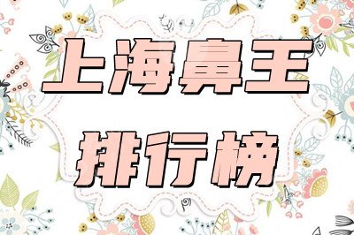 上海鼻王排行榜