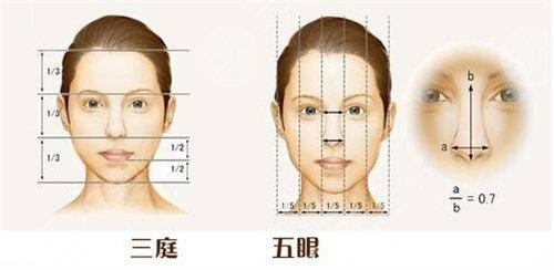 肋骨鼻隆鼻手术后30天