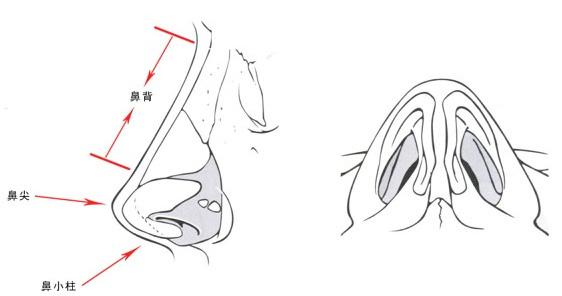 桦容荟医美科普鼻整形