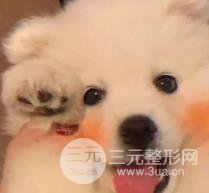 黄多多长大后泪沟黑眼圈全消？是做了整形吗？