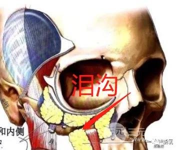 黄多多长大后泪沟黑眼圈全消？是做了整形吗？