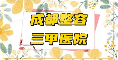 成都整容好的三甲医院