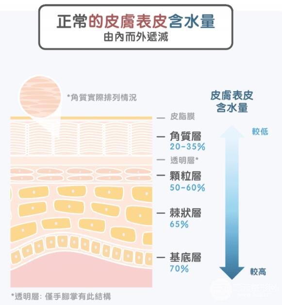 皮肤补水