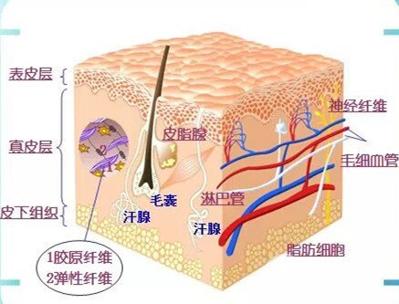 保湿补水