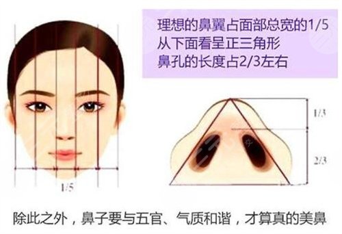 GET满意的鼻子形状需要多长时间?