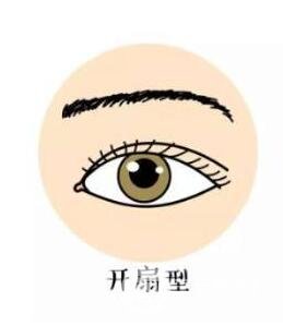 开扇形