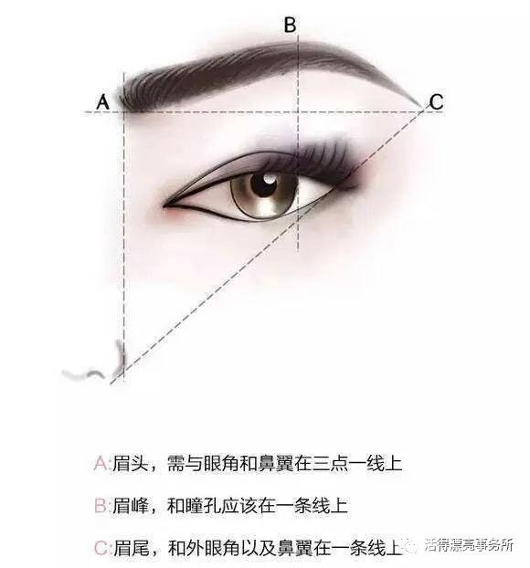 眉毛美学标准