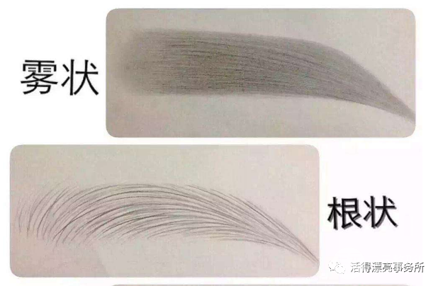 眉毛对比