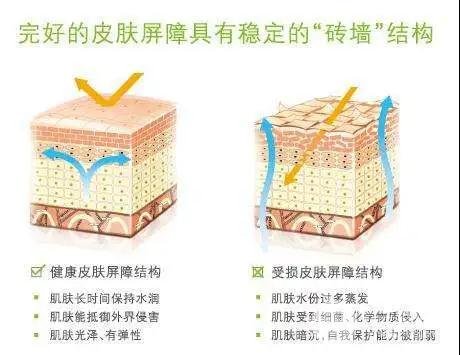 舒敏之星