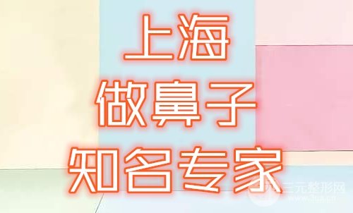 上海做鼻子的知名专家