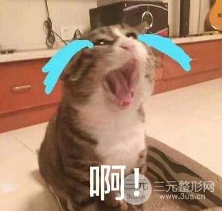 期性染烫漂会造成脱发吗