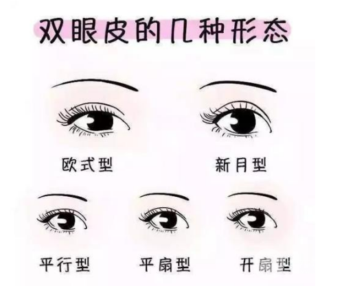 平扇和开扇的果图