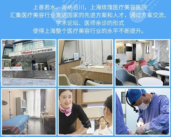 上海玫瑰