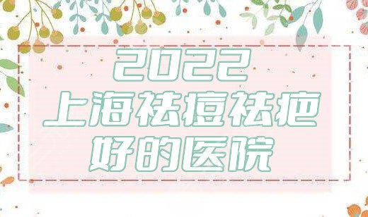 2024上海祛痘祛疤好的医院