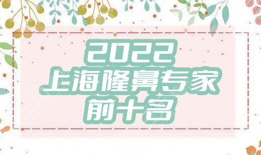2024上海隆鼻专家前十名