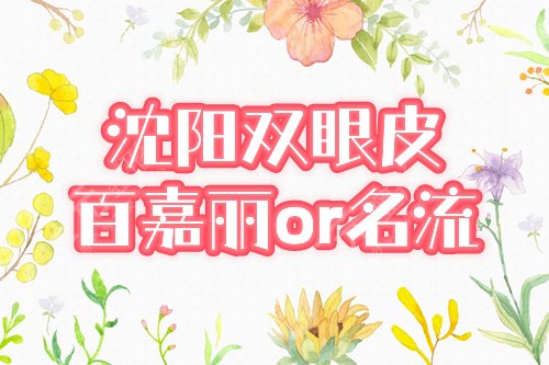 百嘉丽和名流哪个好