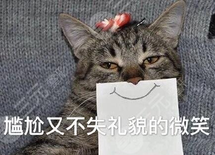 明星同款