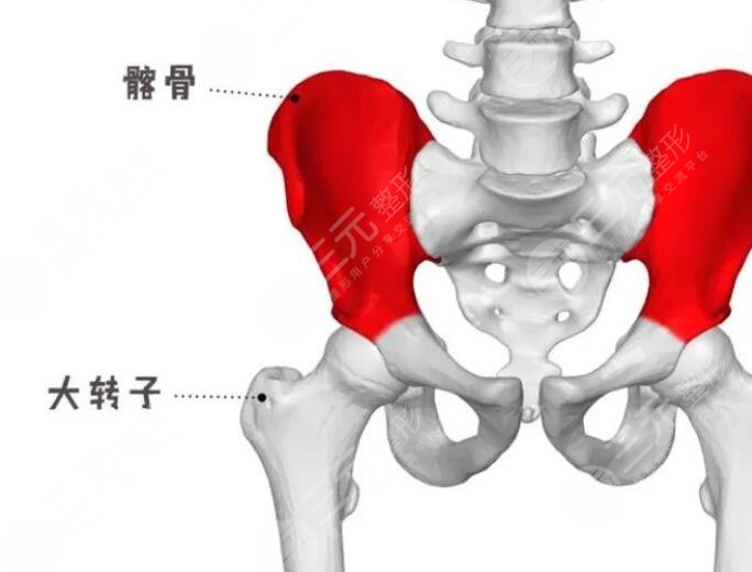 超模也有的身材bug，你也有同款“身材焦虑”吗？