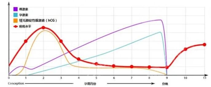 雌激素减少