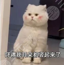 洗脑谬论