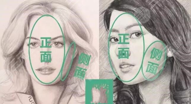 折叠反映的是骨相