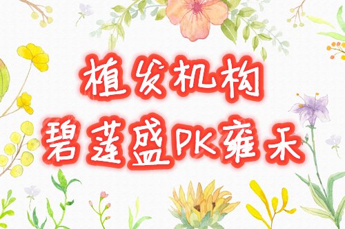 碧莲盛pk雍禾 哪个好