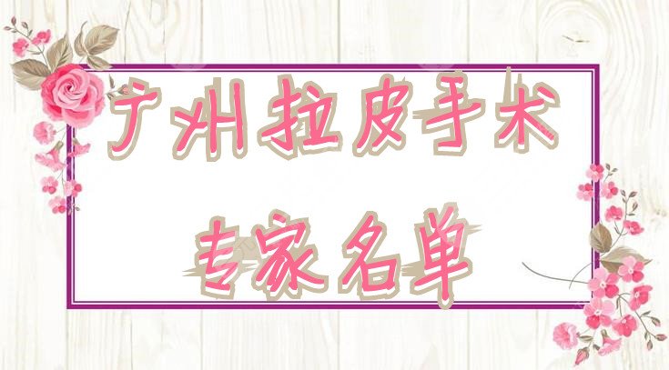 广州拉皮手术专家