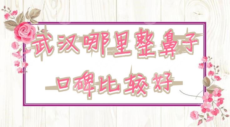 武汉哪里整鼻子口碑比较好