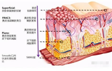 欧洲之星怎么样