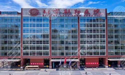 首都医科大学附属北京朝阳医院