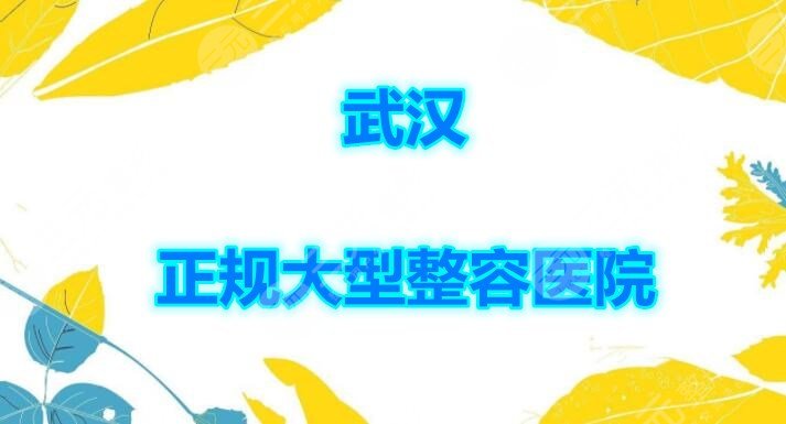 武汉正规大型整容医院