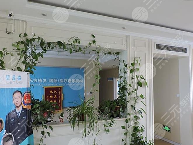 山东的植发医院排名