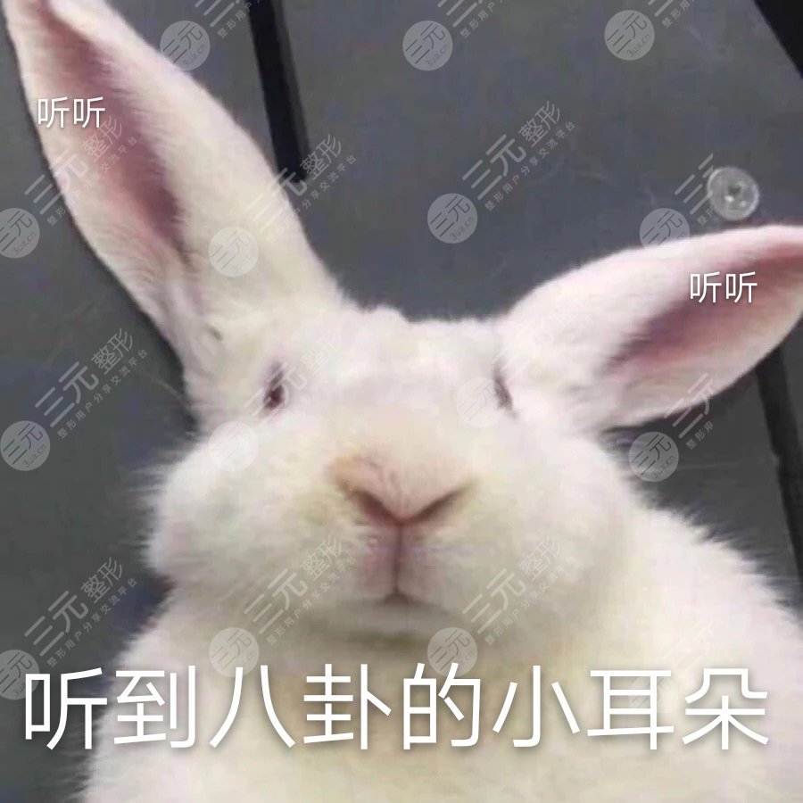 小猴紫