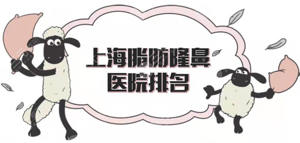 上海脂肪隆鼻医院排名|首尔丽格、薇琳、九院等5家,实力全览!