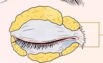 医生简介