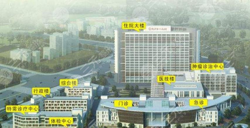 肇庆第一人民医院美容科怎么样