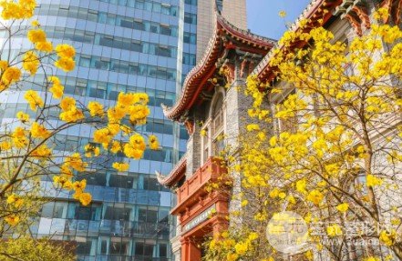 全国知名口腔医院2020年