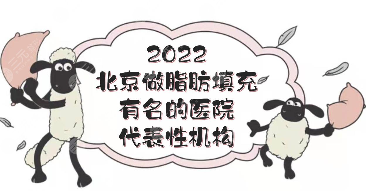 2024北京做脂肪填充有名的医院|润美玉之光、纯脂等，代表性机构！