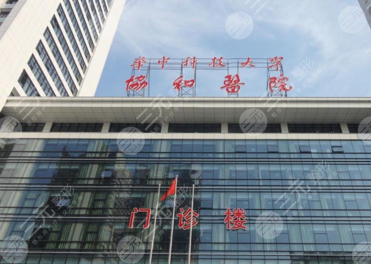 武汉正规的植发三甲医院